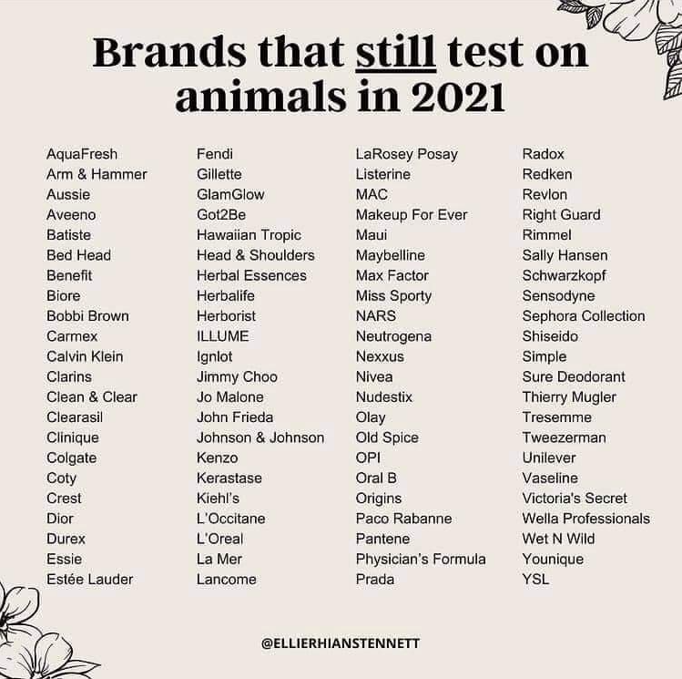 Brands that STILL TEST on Animals in 2021 – Aloe Animals